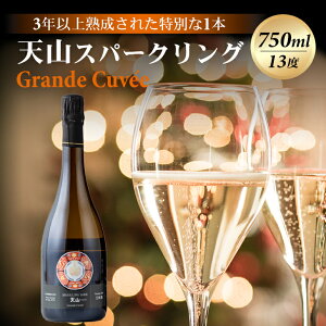 yӂ邳Ɣ[Łz VR sparkling Grande Cuvee O Lx 750ml VR { Xp[NO  { ݔ n   AR[ j lC LO ] yD370-