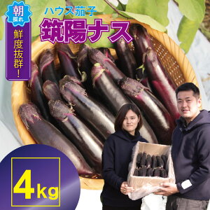 【ふるさと納税】【先行予約】【選べる内容量】 小城市産 筑陽 ナス (3kg・4kg) 朝採れ 新鮮 ハウス栽培 茄子 煮物 揚げ物 焼き マーボー なす 農家直送 新鮮 野菜 送料無料 松尾茄子園【A080