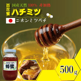 【ふるさと納税】 はちみつ （ 日本蜂蜜 ）蜂蜜 百花蜜 （500g・1,000g）選べる 西山養蜂 希少なハチミツ にほんみつばち 熟成された濃厚な味 送料無料 【B120-080】