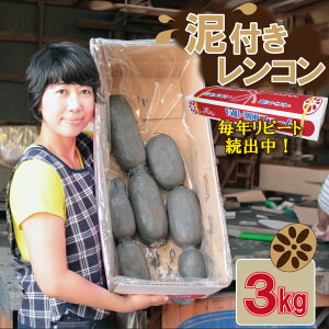 yӂ邳Ɣ[Łzys\zlCI ꌧY Dt Ri 2kg`3kg j Iׂ  _ƒ B  X] @   T_ }l yA085-021z