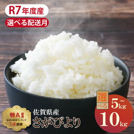 【ふるさと納税】【選べる配送月・内容量】 佐賀ブランド 米「 さがびより 」（5kg・10kg）有明潮風ファーム 精米 白米 キロ 単位 もちもち 食感 冷めても 美味しい お一人様 ご家族用 ランキング 特A 評価 【B160-011】