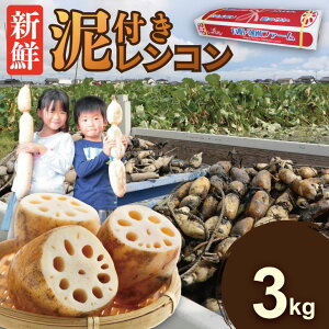 yӂ邳Ɣ[ŁzꌧY Dt Ri 2kg`3kg j Iׂ  _ƒ B  X] @   T_ }l yA085-021z