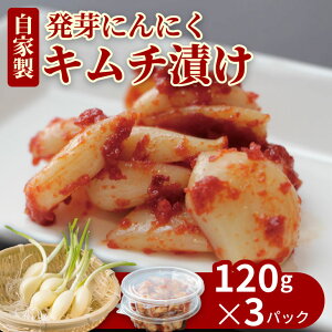 yӂ邳Ɣ[Łz  jjN  sh L`Ђi3pbNjɂɂ LȂ L`   Ə yA070-038z