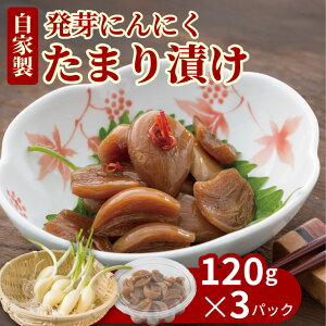 yӂ邳Ɣ[Łz  jjN ܂Ђi3pbNj LȂ Nu ɂɂ yA070-037z