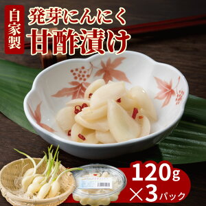 yӂ邳Ɣ[Łz  jjN Ð|Ђ Zbgi3pbNjɂɂ LȂ߁yA070-036z