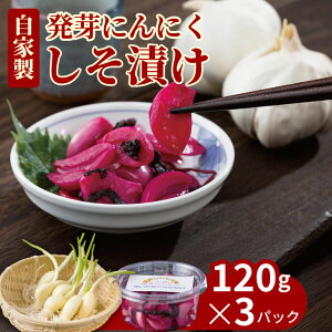 yӂ邳Ɣ[Łz  jjN ЂZbgi3pbNj yA070-035z