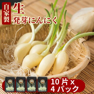 yӂ邳Ɣ[Łz k͔| jjN Zbgi4pbNj Nu LȂ ɂɂyA070-034z