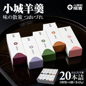 【ふるさと納税】 八頭司 伝吉 味の散策 小城羊羹 つれづれ（贈答用 20本詰） 羊羹 ようかん ギフト 父の日 母の日 敬老の日 煉羊羹 羊かん 和菓子 詰め合わせ ミニサイズ 一口サイズ お茶 スポーツ スイーツ 送料無料 【B120-72】