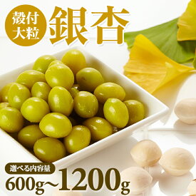 【ふるさと納税】大粒 銀杏 殻付き（1,200g / 600g ） ぎんなん 季節 旬の食材 秋の味覚 おつまみ レンチン【B110-031】