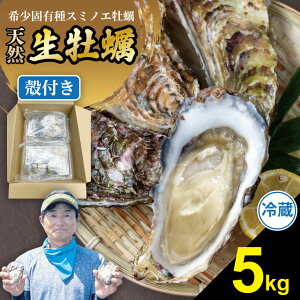 【ふるさと納税】【先行予約】 【選べる配送月・内容量】【天然】有明海産住之江牡蠣 3キロ〜5キロ 3kg 5kg 殻付き 牡蠣 冷蔵牡蠣 スミノエ牡蠣 カキ 殻付き かき 冷蔵 貝 貝類 天然 送料無料