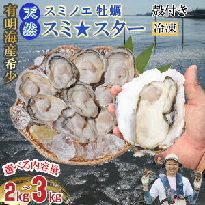 yӂ邳Ɣ[ŁzyVRzLCYZV]y kt ⓀX~X^[ 2L`3L Iׂ y Ⓚ X~mGy JL  Ⓚ L L VR  CN CY CY yB110-030z