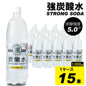 【ふるさと納税】 強炭酸水 1000ml (1Lx15本) 常温 天然水1リットル 強い ストロング スパークリング ウォーター 友桝飲料 ハイボール ソーダ 割り材 水・ミネラルウォーター 炭酸 ペットボトル 送料無料 人気 ランキング 高評価 【A060-007】