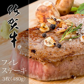 【ふるさと納税】佐賀牛ヒレステーキ（480g） 牛肉 希少部位 国産 極厚カット お肉 ブランド牛 九州産 送料無料　フィレステーキ