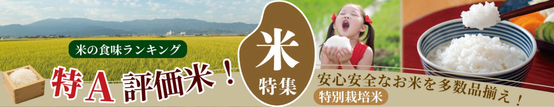 苺特集