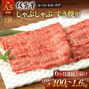 yӂ邳Ɣ[ŁzS6  ꋍ A5 Ԃ Ăp (v2.4kg ~ 9.6kg) ꌧs/K{Y [NAB072]
