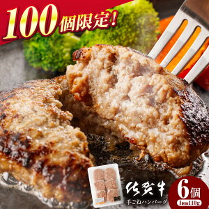 yӂ邳Ɣ[Łzꋍ 育˃no[O 6yK{Yz[NAB133]