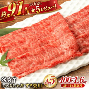 【選べる発送月】佐賀牛 A5 厳選部位 400g ~ 1....