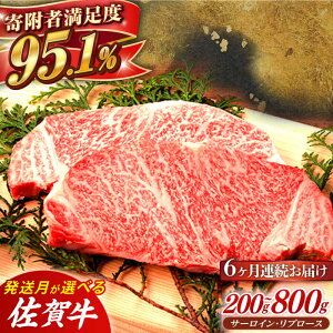 yӂ邳Ɣ[Łzy6ցzꋍ Xe[Lp(T[CEu[X) v1.2kg ~ v4.8kg ꌧs/K{Y [NAB063]