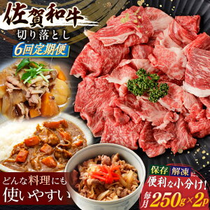 yӂ邳Ɣ[Łzy6ցza ؂藎Ƃ v500g(250g×2p)ym{Yz[NAC163]