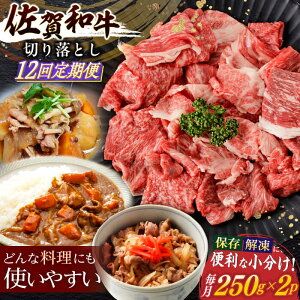 yӂ邳Ɣ[Łzy12ցza ؂藎Ƃ v500g(250g×2p)ym{Yz[NAC164]
