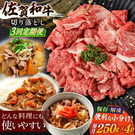 【ふるさと納税】【3回定期便】佐賀和牛 切り落とし 計1kg(250g×4p)【一ノ瀬畜産】[NAC165]