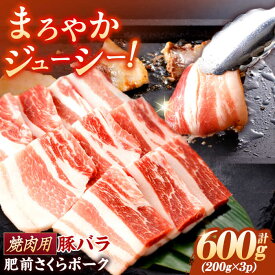 【ふるさと納税】肥前さくらポーク バラ肉 焼肉用 計600g【一ノ瀬畜産】[NAC501]