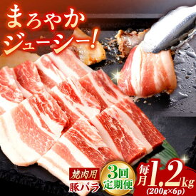 【ふるさと納税】【3回定期便】肥前さくらポーク バラ肉 焼肉用 総計3.6kg【一ノ瀬畜産】[NAC604]