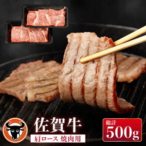 yӂ邳Ɣ[Łz ꋍ [X ēp v500gi250g×2pj ꌧY јa   ꌧs/m{Y [NAC028]