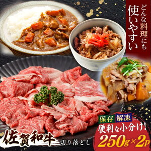 yӂ邳Ɣ[Łza ؂藎Ƃ v500g(250g×2p)ym{Yz[NAC030]