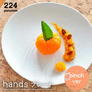 yӂ邳Ɣ[Łzhands -pinch- v[g 1_ ₫ Ă   Ogc ꌧs/224 [NAU193]
