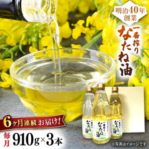 yӂ邳Ɣ[Łzy6ցzԍȂ˖ MtgZbg 910g×3{ yRz[NBE102]