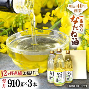 yӂ邳Ɣ[Łzy12ցzԍȂ˖ MtgZbg 910g×3{ yRz[NBE103]