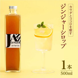【ふるさと納税】JAZZ GINGER ロングボトル 1本 ジンジャーシロップ ジンジャーエール 生姜 しょうが ショウガ 佐賀県嬉野市/アトリエ ラ・カーサ マリア】[NCO002]