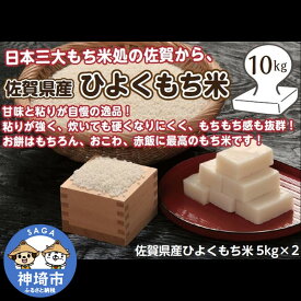 【ふるさと納税】令和5年産 佐賀県産ひよくもち米10kg 【もち米 餅米 ヒヨクモチ 10kg 年末 餅つき 赤飯 おこわ おはぎ】(H015157)