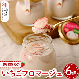 【ふるさと納税】いちごフロマージュ6個セット【佐賀県産 クリームチーズ 生クリーム ドライいちご 贅沢】(H017105)