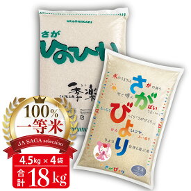 【ふるさと納税】100%一等米 さがびよりとひのひかり各4.5kg×2袋(令和5年産)【佐賀米 白米 精米 米 お米 コメ さがびより ひのひかり 一等米 ブランド米】(H040146)