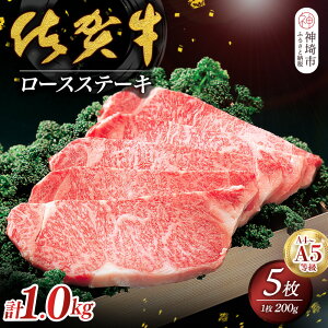 yӂ邳Ɣ[Łzꋍ[XXe[L200g×5 yꋍ ꌧY  [X Xe[L z(H040105)