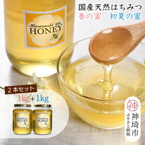 yӂ邳Ɣ[Łzyt̖ & Ă̖Zbgz2025NY YVRI t̖ & Ă̖