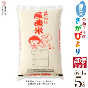 【ふるさと納税】【令和7年産 新米】さがびより 無洗米 5kg【6ヶ月定期便】【さがびより 無洗米 5kg お米 おいしい ランキング 人気 国産 佐賀県産 ブランド 地元農家】(H061777)