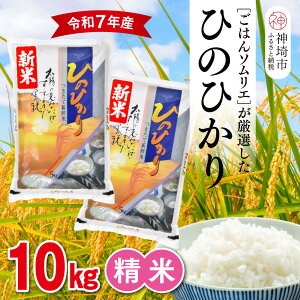 yӂ邳Ɣ[Łzyߘa7NY Vāz͂\GI  Ђ̂Ђ 10kgy_sY V     10kg 5kg×2 Ђ̂Ђ uh HӒmz(H063151)