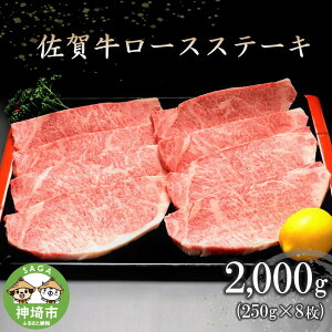 yӂ邳Ɣ[Łzꋍ[XXe[L(250g×8) y  ē Xe[L [X BBQ Lv z(H066104)