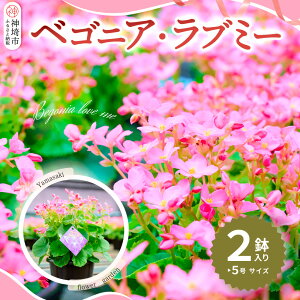yӂ邳Ɣ[Łzyst9蔭 ʁEԌz xSjAEu~[ 5×2y ӂ邳Ɣ[ hV̓Mtg xSjAz(H069115)