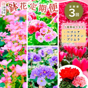 yӂ邳Ɣ[Łzyst9蔭 ʁEԌz  3(9E11E1)y ӂ邳Ɣ[ ցz(H069117)