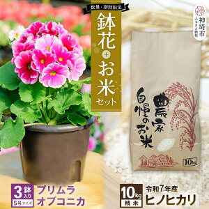 yӂ邳Ɣ[Łzyst17蔭 ʁEԌz vEIuRjJ 5×3{qmqJ()10kgZbgyӂ邳Ɣ[ v āz(H069123)