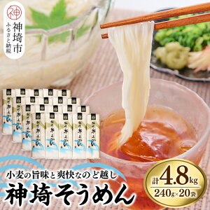yӂ邳Ɣ[Łz_邻߂(240g×20) y߂  _ ߂ f Yi 񂴂 B  Mtg p Yiz(H020101)