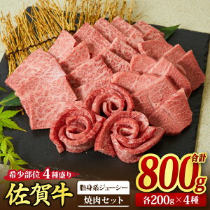 yӂ邳Ɣ[Łzꋍ 󏭕 ē荇킹yԐgnς / gnW[V[ / 600g / 800gz