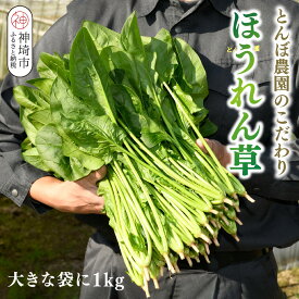 【ふるさと納税】佐賀県脊振山麓産 ほうれん草 バラ詰め【1kg / 2kg / 3kg】(H091P116)