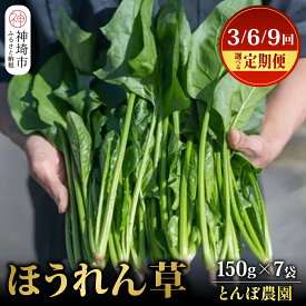 【ふるさと納税】佐賀県脊振山麓産 ほうれん草 約1kg（150g x 7袋）【定期便 3回 / 6回 / 9回】