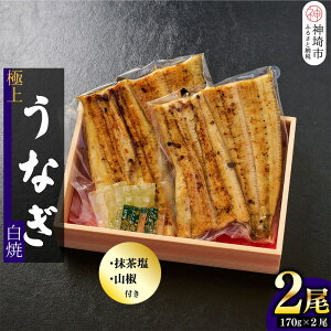 yӂ邳Ɣ[ŁzElĂ Y傤Ȃāy1 / 2Zbg zi1170gOjyY Ȃ V EiM ɏ Ă ΂ | X^~i  Rz(H097109/H097110)