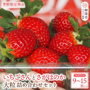 【ふるさと納税】【先行受付 令和8年1月下旬より発送開始】いちごさん さがほのか 大玉いちごセット 9粒から15粒(約350g)(H101101)